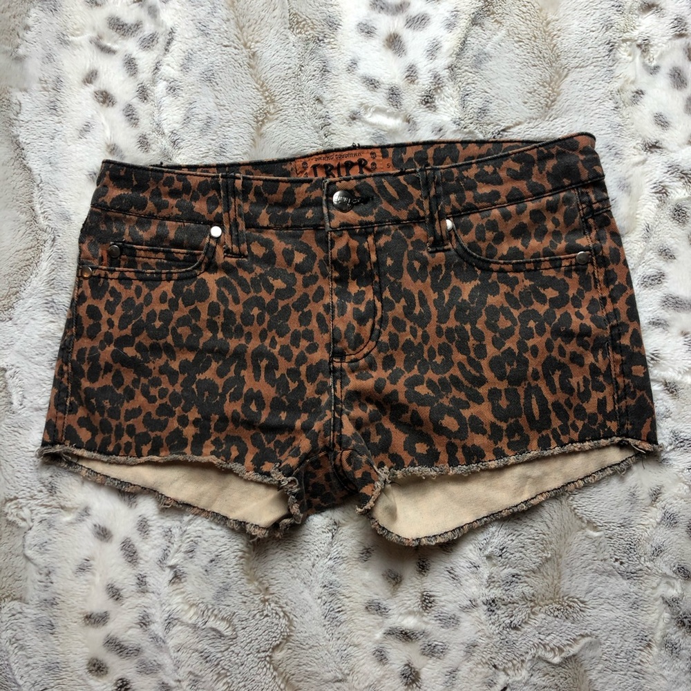 Leopard Print Women's Shorts